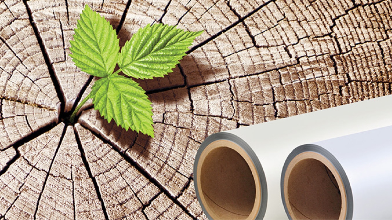 Nobelus has launched a cellulose-based EcoElement CLS film as part of its commitment to sustainability Nobelus has launched a cellulose-based EcoElement CLS film as part of its commitment to sustainability