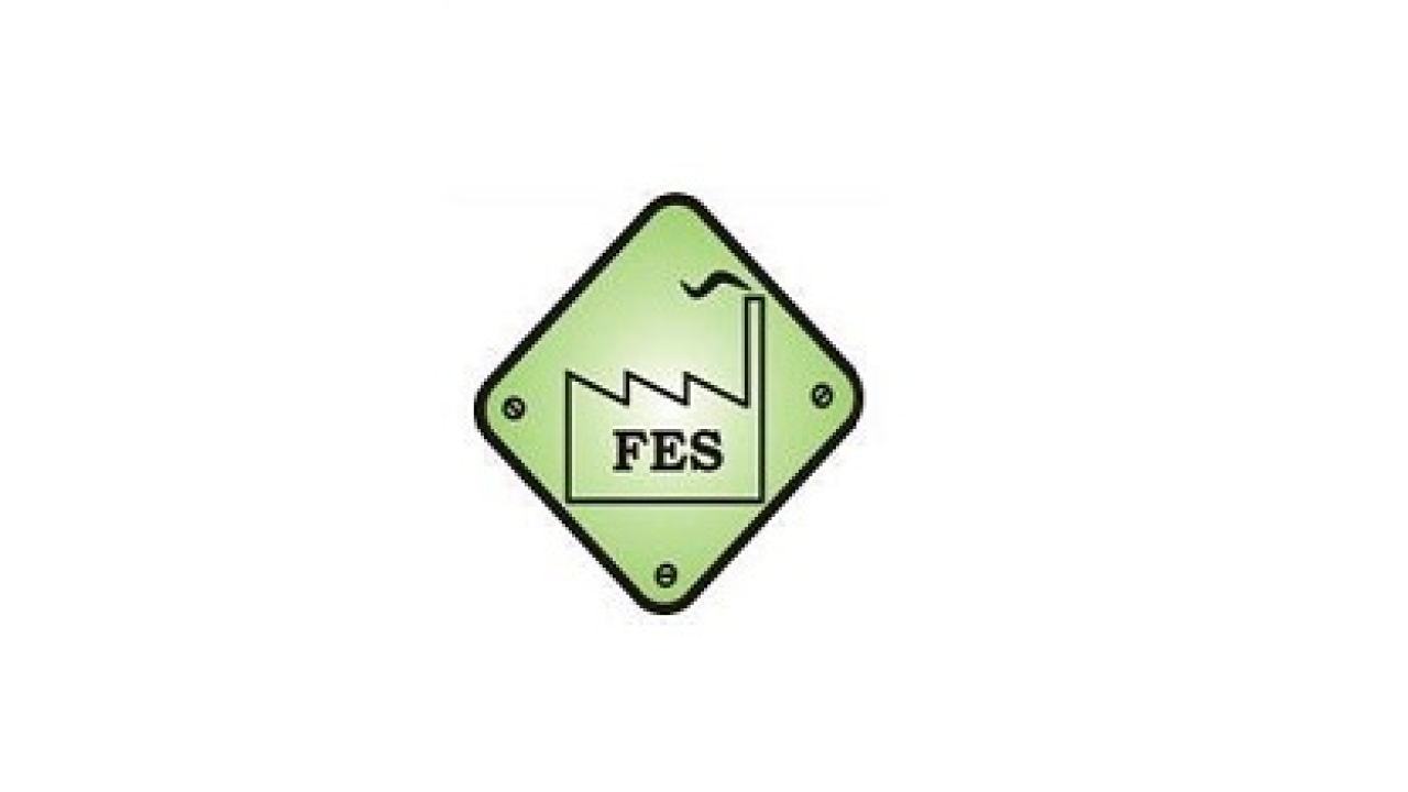 FES logo FES logo