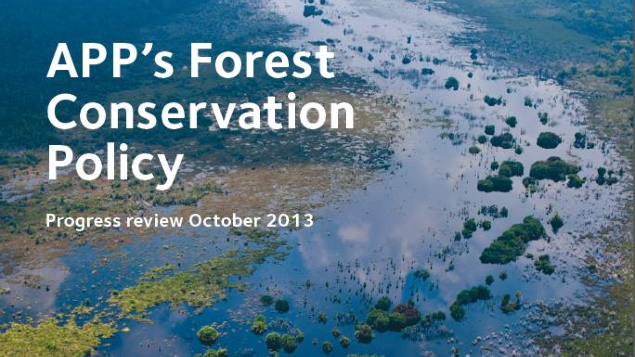Greenpeace’s APP’s Forest Conservation Policy: Progress Review report takes an in-depth look at all aspects of how the FCP is being implemented Greenpeace’s APP’s Forest Conservation Policy: Progress Review report takes an in-depth look at all aspects of how the FCP is being implemented